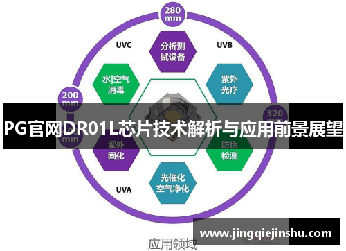 PG官网DR01L芯片技术解析与应用前景展望